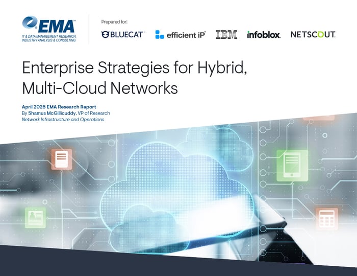 enterprise-strategies-for-hybrid-multi-cloud-networks-2025-1